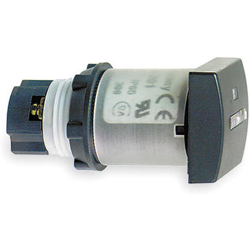 SCHNEIDER ELECTRIC XB5DSB