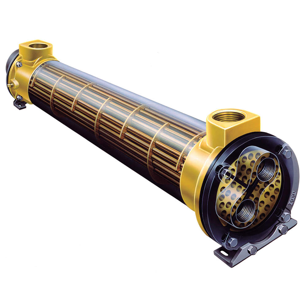 STANDARD XCHANGE SN516003024006