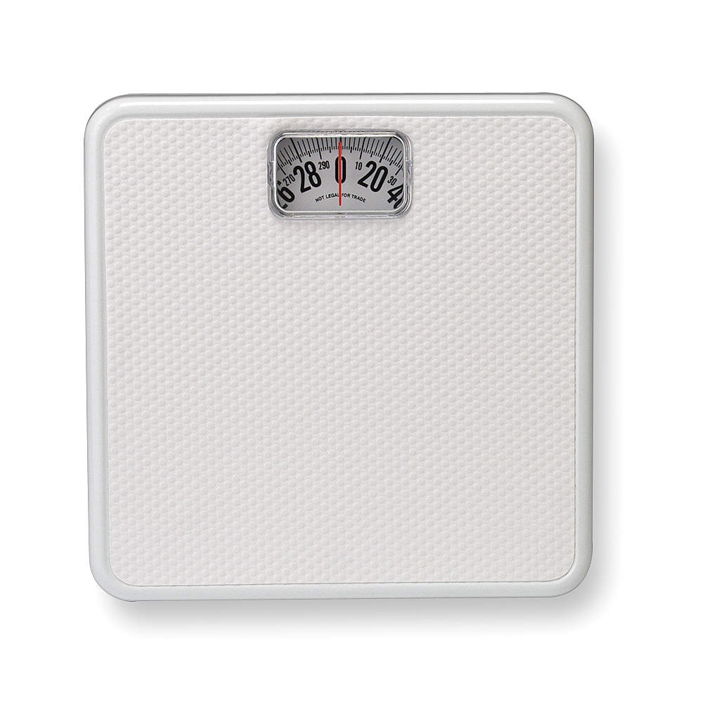 TAYLOR Bench and Floor Scales