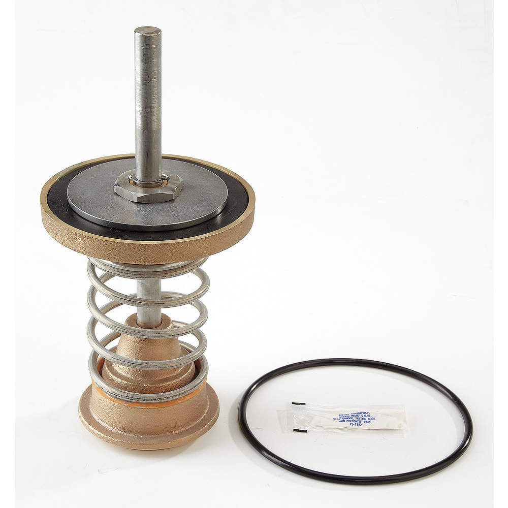 WATTS 909 4 1st Check Kit