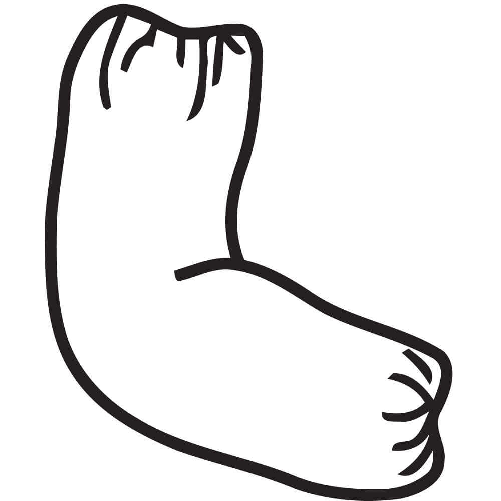 Shoe Covers Universal 8-1/4 Inch Height PP