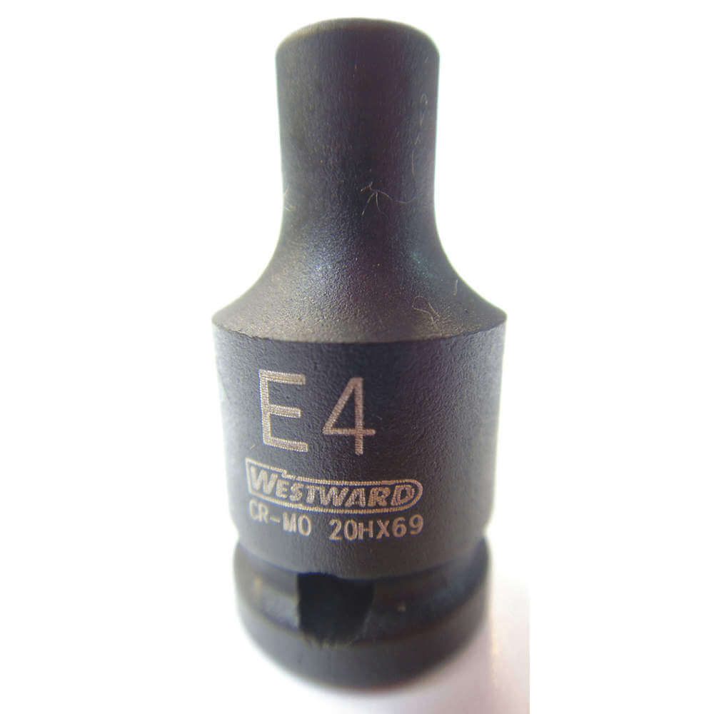 WESTWARD 20HX69 Star E Socket 1/4 Inch Drive E4 | AF6TVX