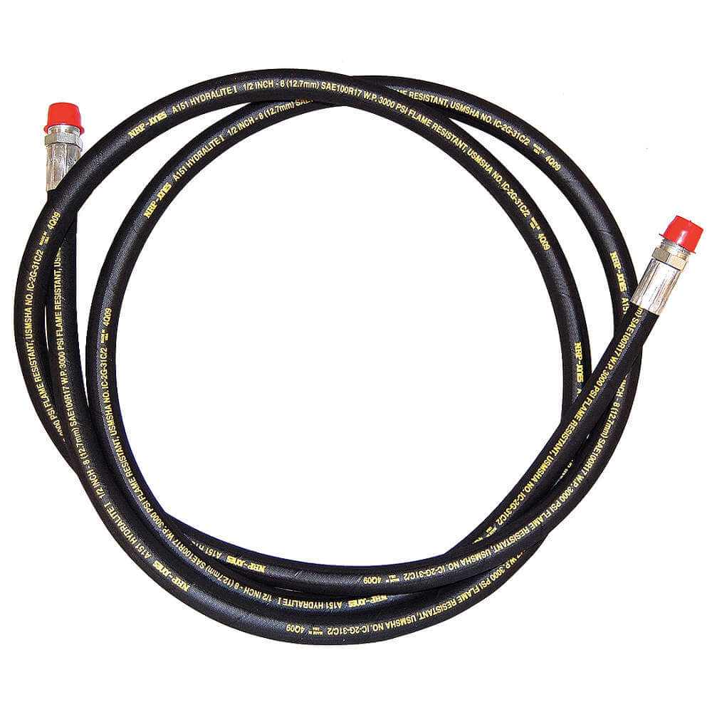 Output Hose High Pressure 10 Feet 1000psi