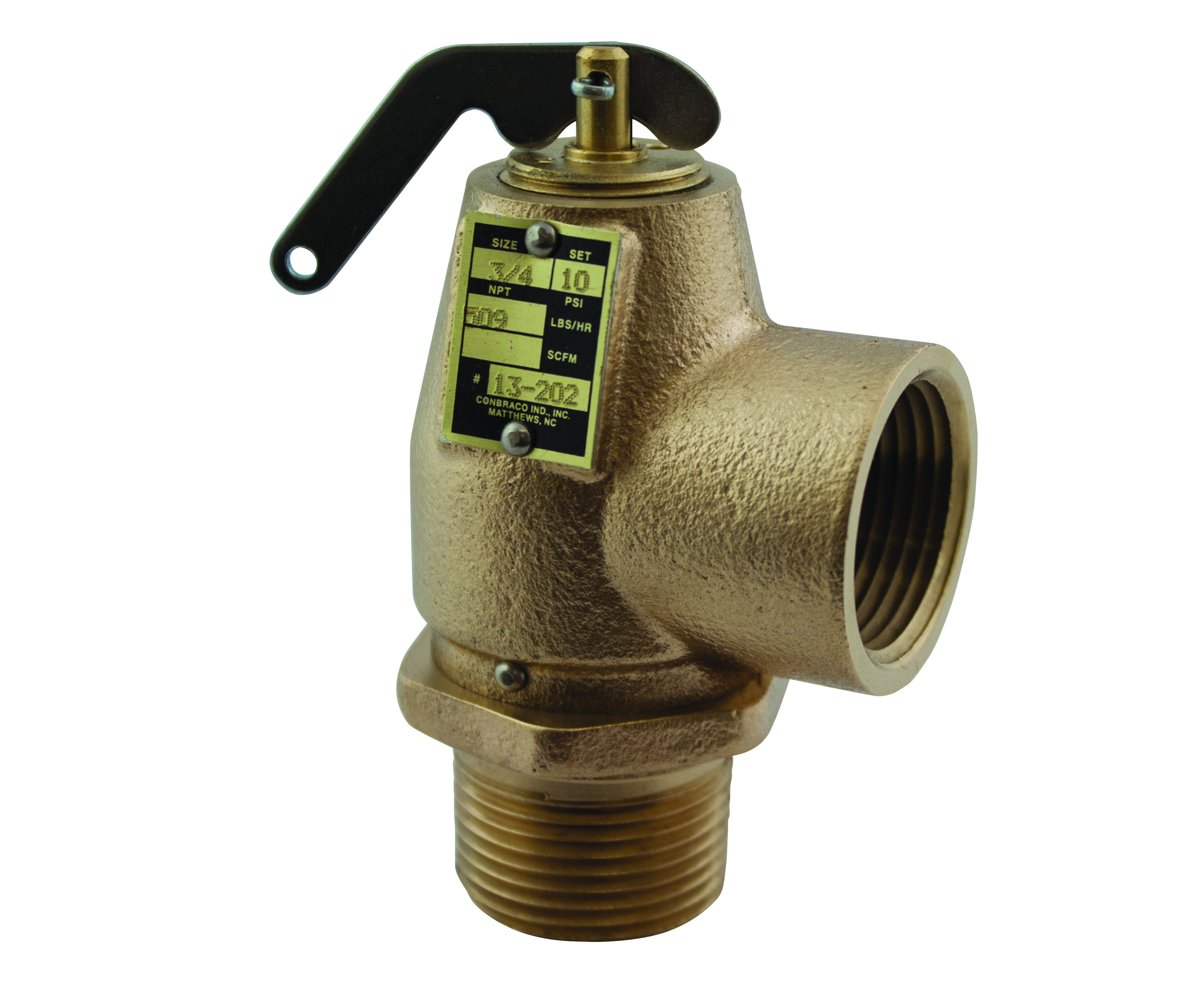 APOLLO VALVES 1320201 Relief Valve, 1 Inch Size, 2 Psi, Bronze | BN9WJA