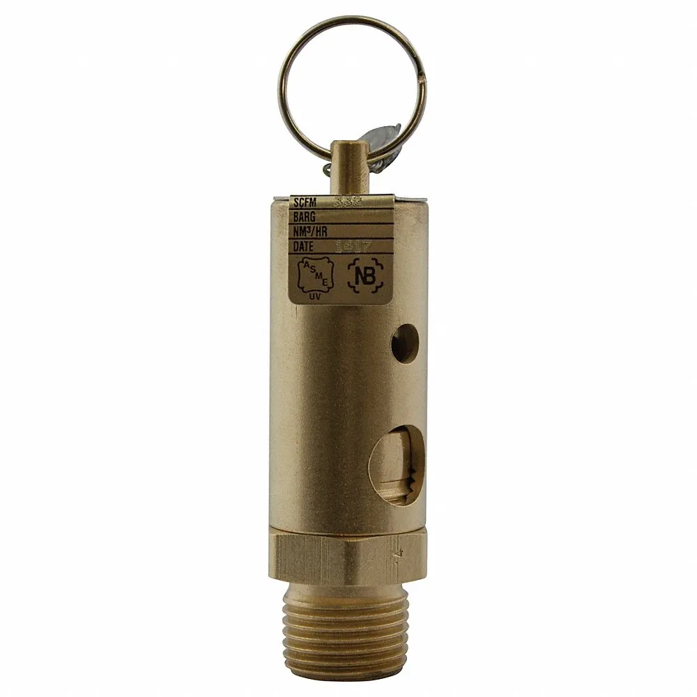 Adjustable Relief Valve 1/2 Inch 60 Psi