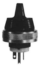 Plug, 2 Pole