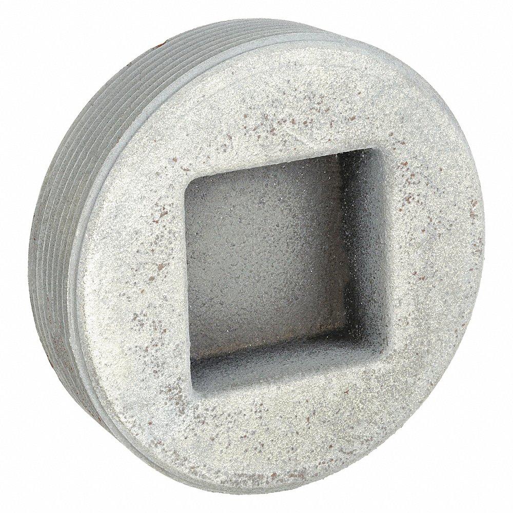 APPLETON ELECTRIC PLG-125 Blank Plug, Galvanized, 1 1/4 Inch Trade, NPT, Iron, Male to Male, Iron | AA2NGB 10U752