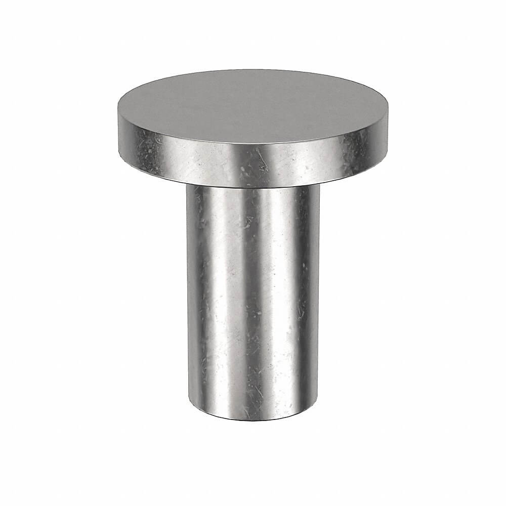 Solid Rivet, Flat, SS, 3/8 In Lg., 3/16 In Rivet Dia., Plain