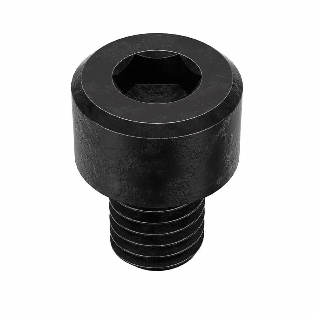 APPROVED VENDOR M07000.080.0010 Socket Cap Screw Standard M8 x 1.25X10, 100PK | AE8EZC 6CU13