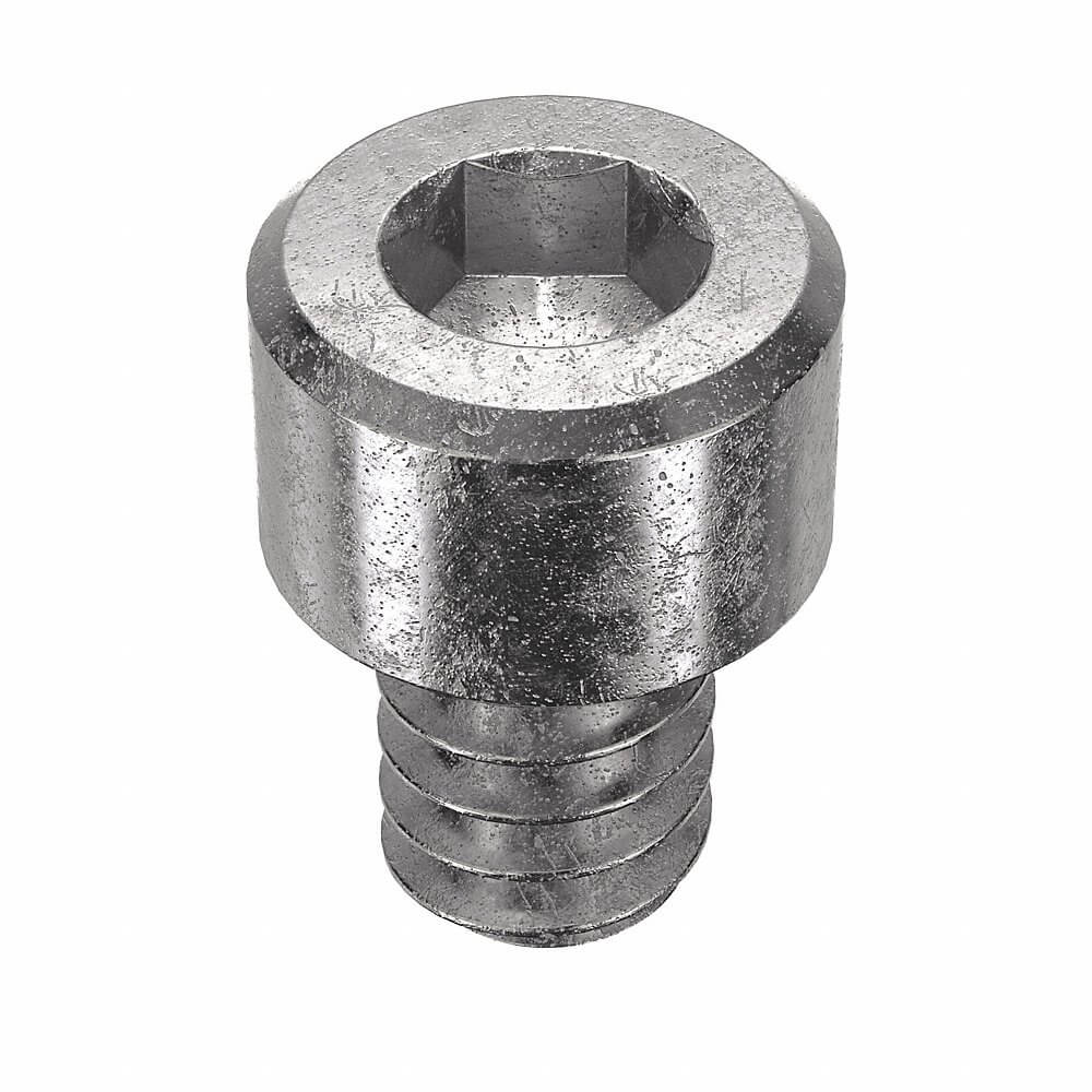 APPROVED VENDOR U51050.013.0018 Socket Cap Screw Standard Stainless Steel 6-32X3/16, 100PK | AA9WHY 1GU43