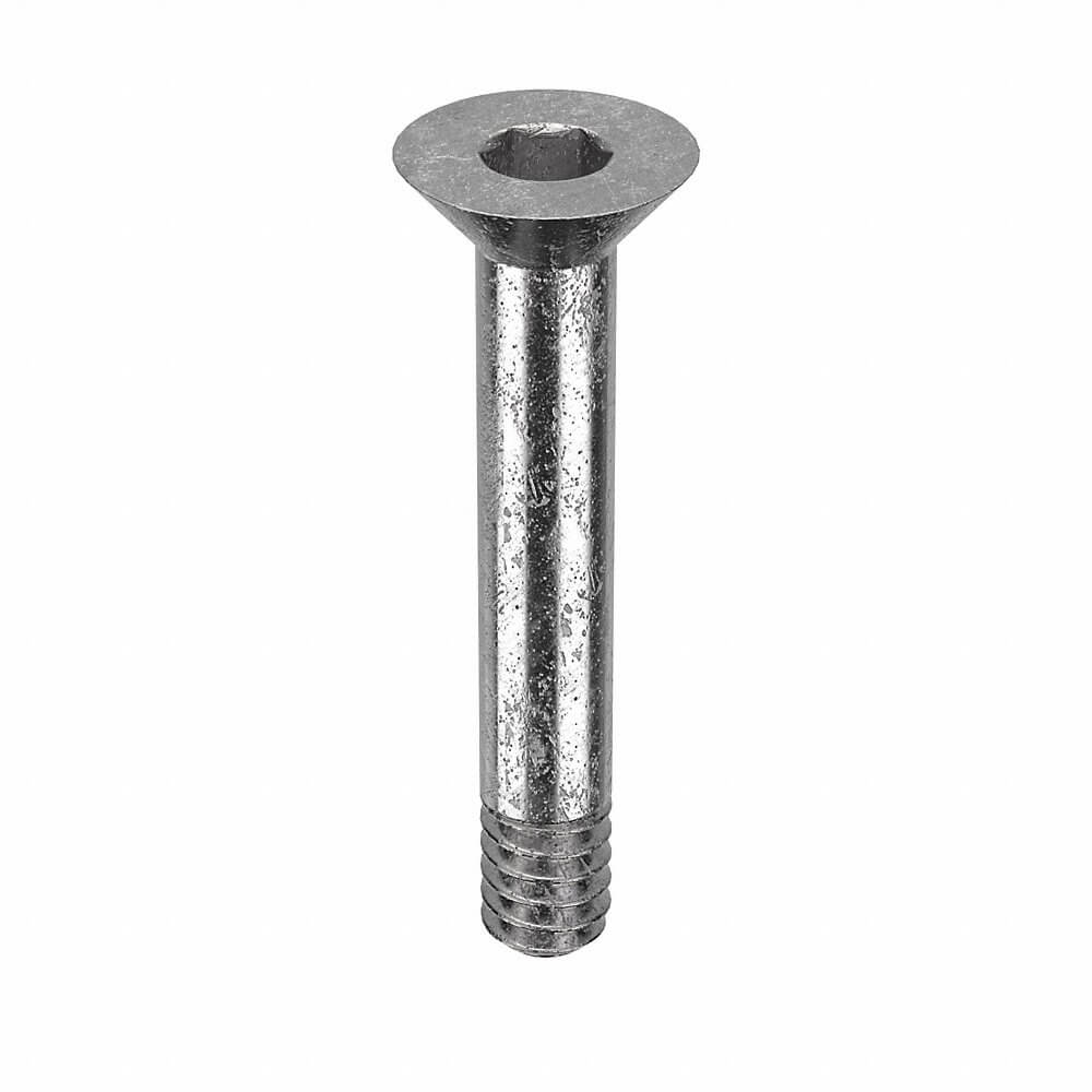 APPROVED VENDOR Z1768 Architectural Bolt Stainless Steel Button 1/4 x 1/4in | AB6BFR 20X960