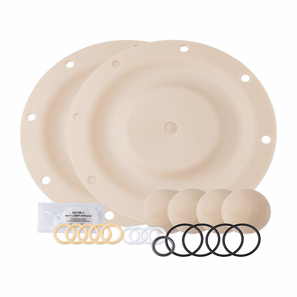 ARO 637303-CC Diaphragm Pump Repair Kit | CH9ZYE 55HE89