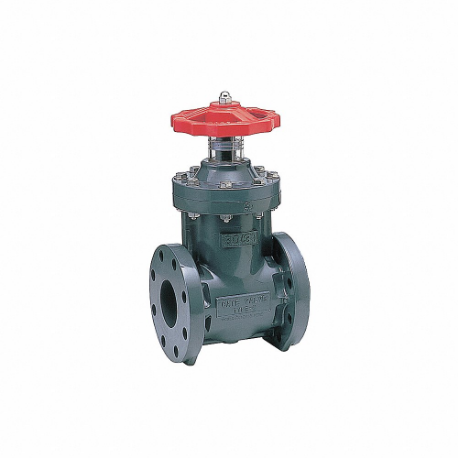 ASAHI Gate and Globe Valves
