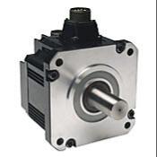 SURE SERVO General Purpose AC Motors