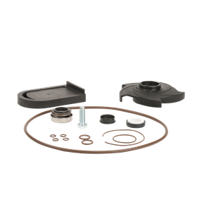 BANJO FITTINGS 12000AV Pump Repair Kit, 5 Vane FKM, 2 Inch Size | BW9TJZ