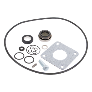 BANJO FITTINGS 15999 Pump Repair Kit | BW9HFD