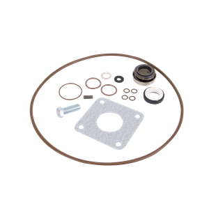 BANJO FITTINGS 15999V Pump Repair Kit, FKM | BW9LEM