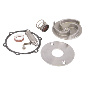 BANJO FITTINGS 17100SS Pump Repair Kit, 2 Inch, Stainless Steel | BX2BBF