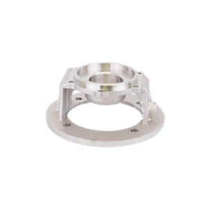 BANJO FITTINGS 17446SS Pump Adapter, Electric Motor, 2 Inch, Stainless Steel | BX2CNT