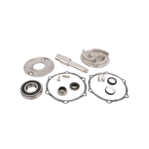 BANJO FITTINGS 18100W Cast Iron Wet Seal Pump Repair Kit, 3 Inch Size | BW9YPD