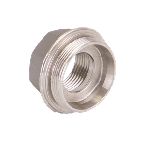 BANJO FITTINGS DM10256SS End Plate, 1 Inch, Female NPT, Stainless Steel | BW9LPV