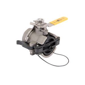 BANJO FITTINGS DM200DBSSE Female Dry Mate, 316 Stainless Steel, Bsp, Epdm, 2 Inch Size | BX2DFC