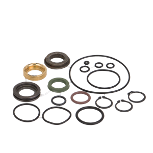 BANJO FITTINGS HY1003 Hydraulic Motor Seal Kit | BW9VMN