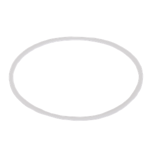 BANJO FITTINGS V21204 End Plate Body Gasket, TFE | BW8FDJ