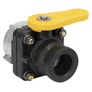 BANJO FITTINGS VSF211 Super Stubby Valve With F Adapter, 2 Inch Size | BW9JEY