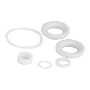 BANJO FITTINGS VSS02500 Valve Repair Kit, 1/4 Inch And 3/8 Inch, Stainless Steel | BW8RGJ