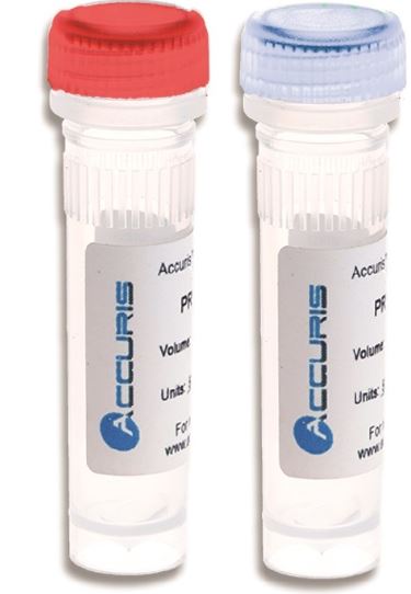 BENCHMARK SCIENTIFIC PR1000-TP-500 DNA Polymerase Reagent, 500 Units | CD7LDZ