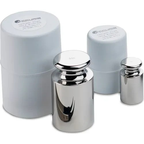 BENCHMARK SCIENTIFIC W1005-1000 Calibration Weight, M1 Grade, 1000g | CD7LJA