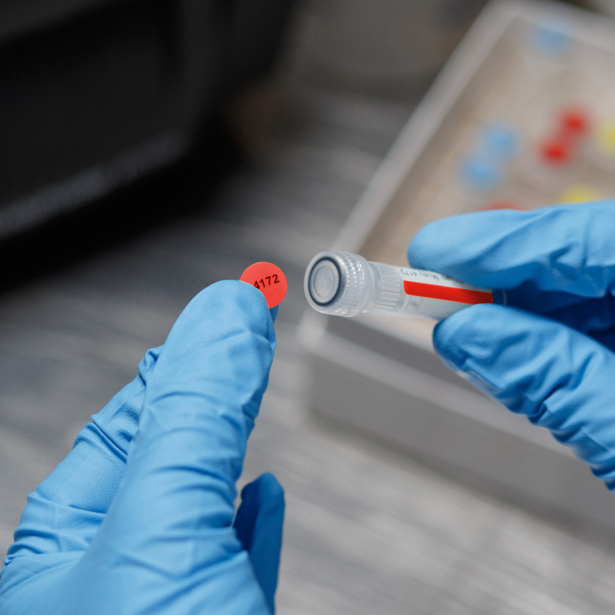 BRADY M6-17-494-RD Label, Rectangle, 1/2 Inch Size x 1/2 in, 1/2 in, Polyester, Red/White | CR8PFM 803TZ7