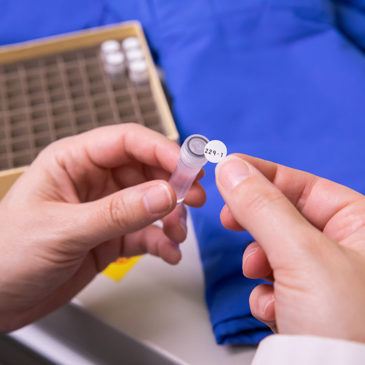 BRADY M6-82-492 Label, Circle, 3/8 Inch Size x 3/8 in, Polyester, White, 0.6 to 1.5 ml Vial/Tube Size | CR8PEB 803TJ1