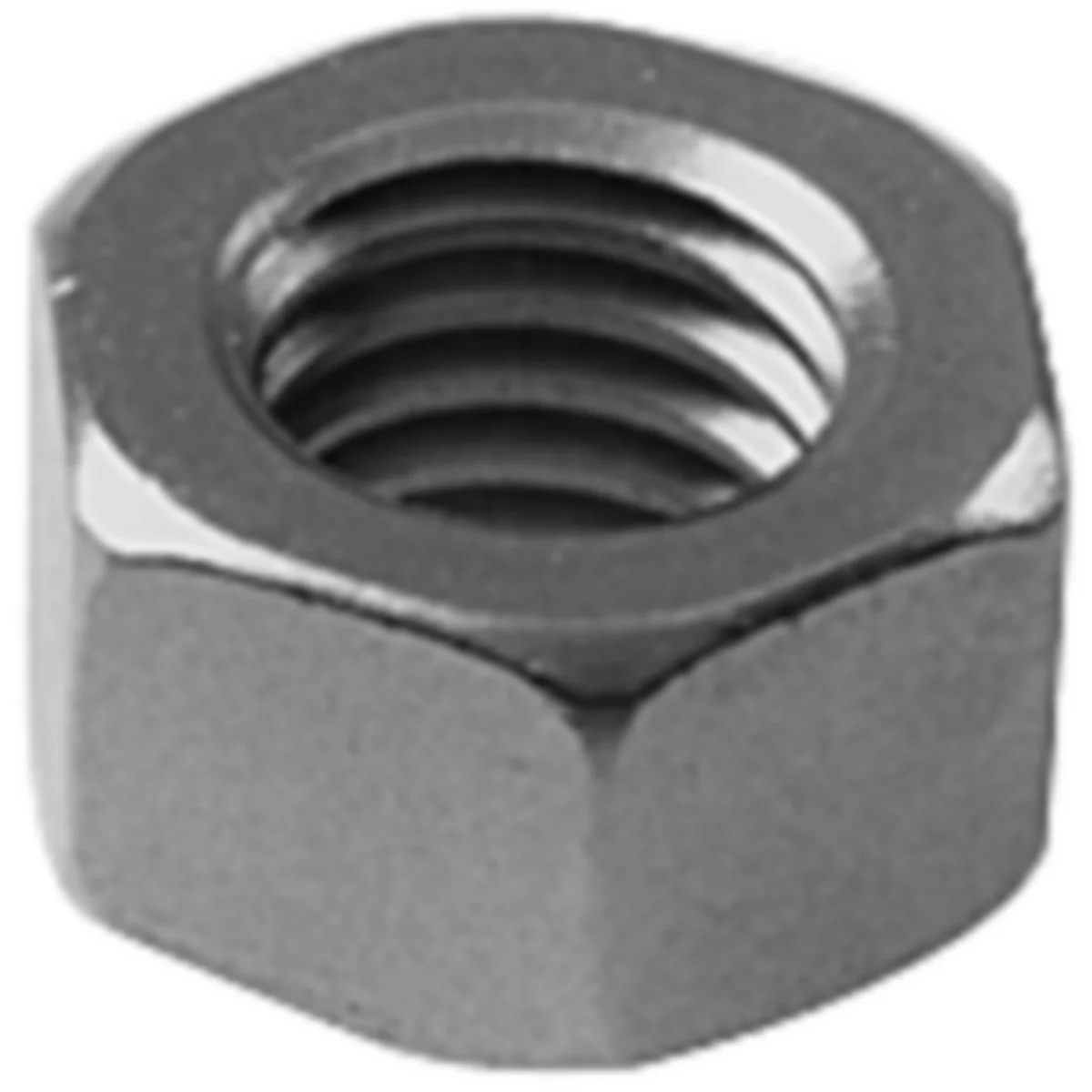 Hex Nut, 3/8 Inch, Stainless Steel