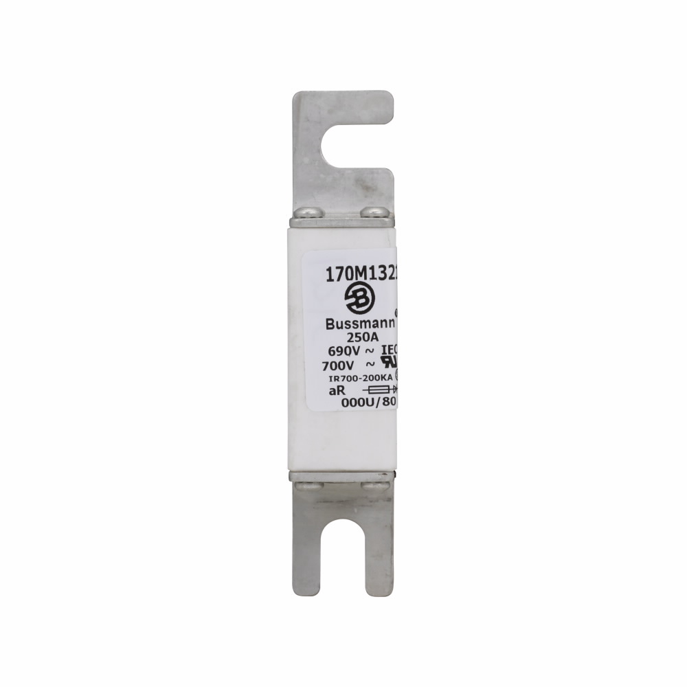 BUSSMANN 170M1321 Specialty Fuse, High Speed, Fast Blow, 690VAC, 250A, Square Body Blade Fuse | BC8HXR