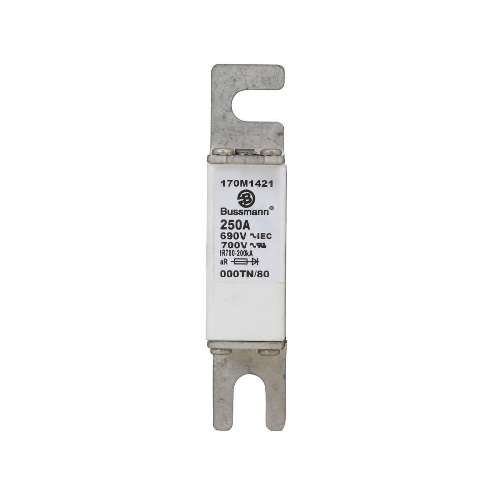 Specialty Fuse, 250A, 690VAC