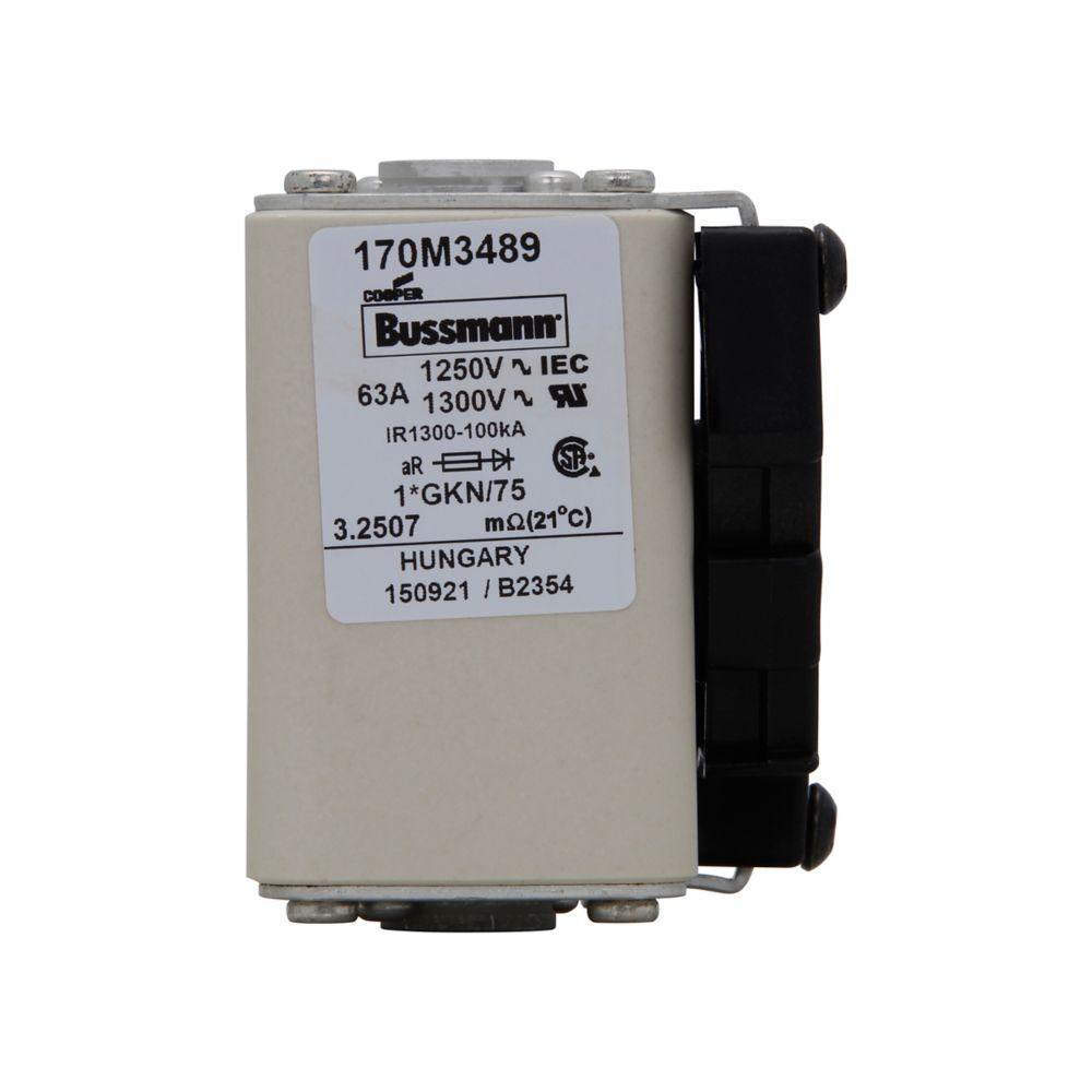 https://static.raptorsupplies.com/catalog/product/og/bussmann-170m3489.jpg