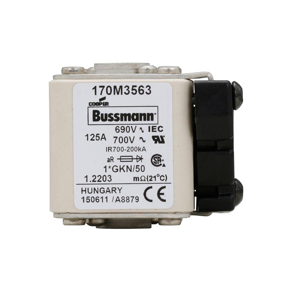 BUSSMANN 170M3563 Specialty Fuse, High Speed, Fast Blow, 690VAC, 125A, Square Body Blade Fuse | BD2UFQ
