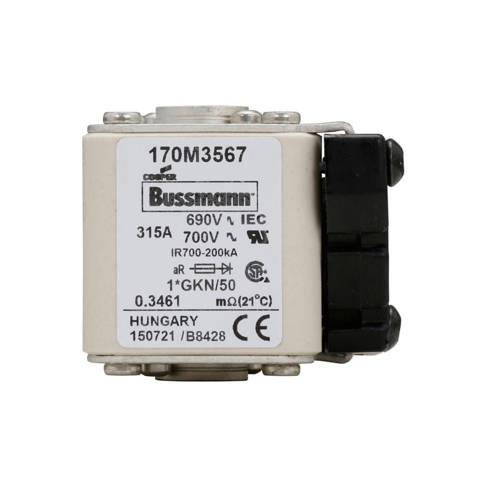 BUSSMANN 170M3567 Specialty Fuse, High Speed, Fast Blow, 690VAC, 315A, Square Body Blade Fuse | BD3ANX