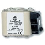 BUSSMANN 170M6466-G Specialty Fuse | BC7QVL