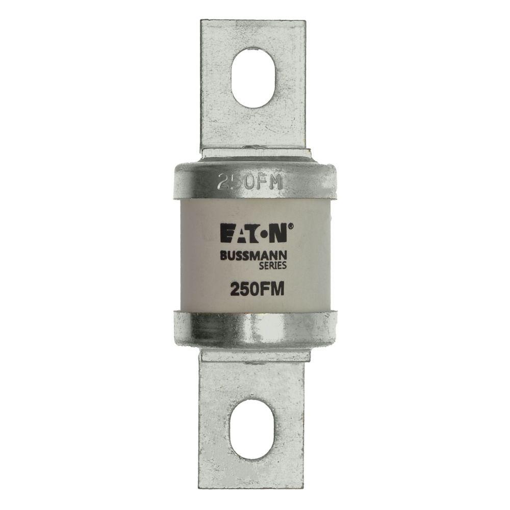 BUSSMANN 250FM Specialty Fuse, 250A, 500VAC | BD3EKE