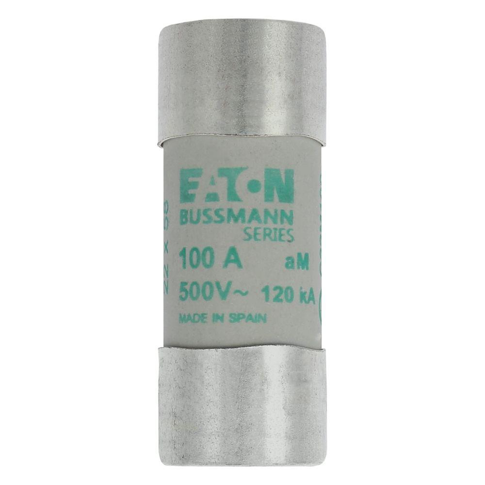 BUSSMANN C22M100 Fuse Link, Slow Blow, 58mm length, 100A, 500VAC, 10 Pack | BD2YDB