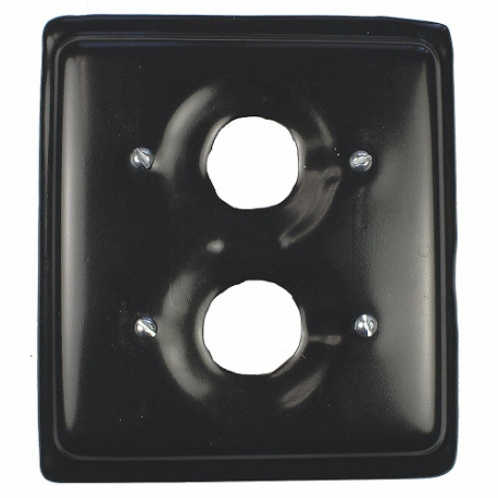 CALBOND PV0000S212 Weatherproof Cover, 4 5/16 Inch Height, 4 3/16 Inch Width, 2 Gangs | CQ8DHA 41TA53