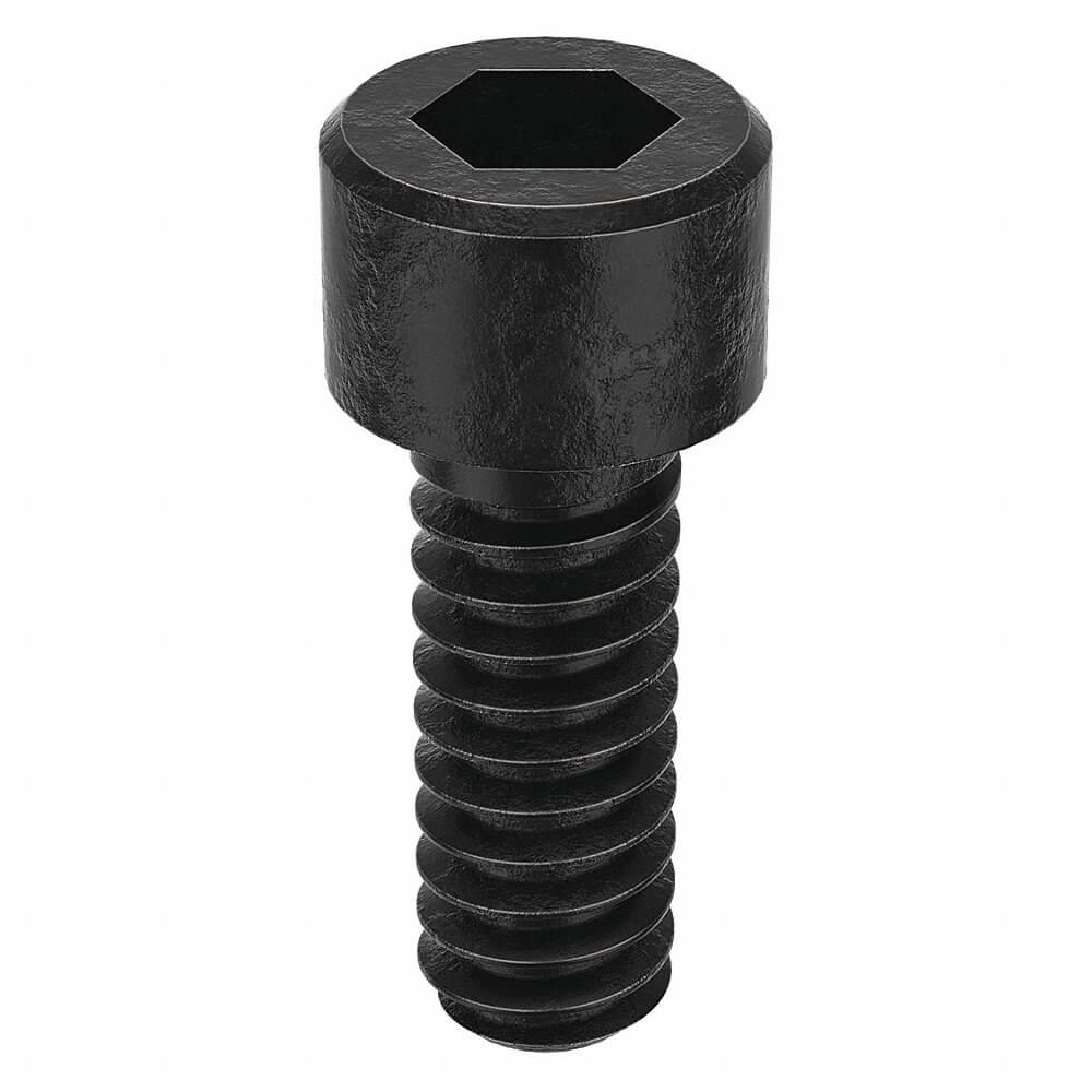 CAMCAR SDSC0040031CP-PK100