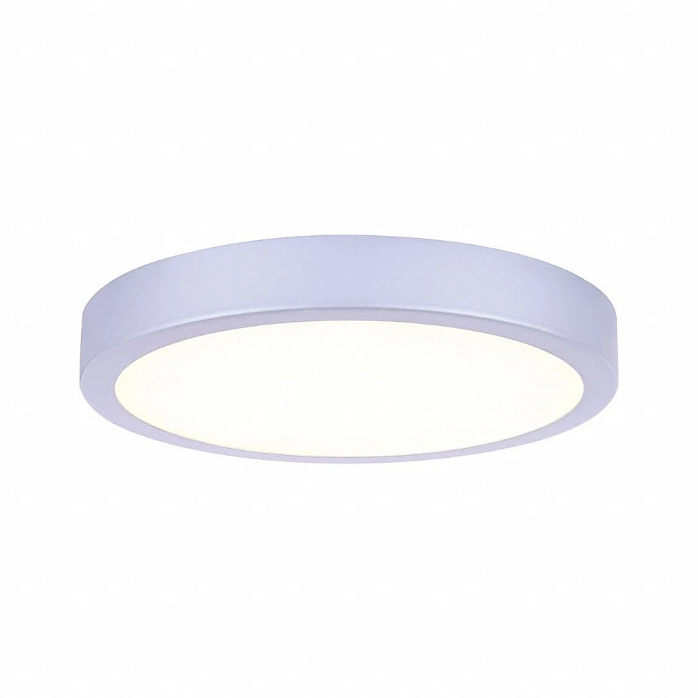 Light Kit, Painted, CP120PG Fans/CP96PG Fans, 120 V AC