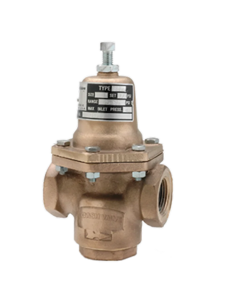CASH VALVE E55FFSLV01-E2 Pressure Regulator, 1 1/4 Inch Size, Neoprene Diaphragm, 50 To 150 PSI, Stainless Steel | CY3XAN