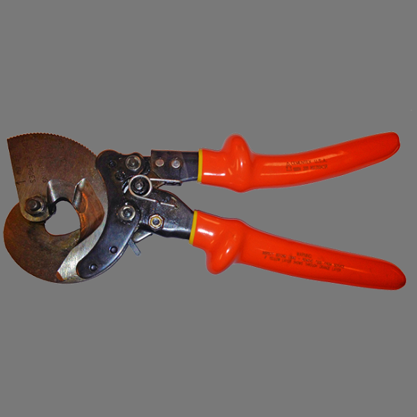 CEMENTEX USA RCC350-ACSR