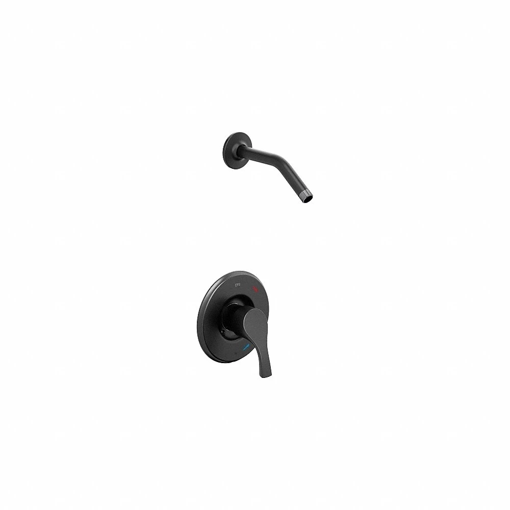 Shower Faucet, 1.75 gpm Fixed Showerhead Flow Rate, Metal, Matte Finish, Single Function