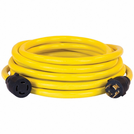 CHAMPION POWER EQUIPMENT 100395 Generator Extension Cord, Generator Extension Cord, 25 ft Cord Length, L14-30 | CQ8PUR 60XN25